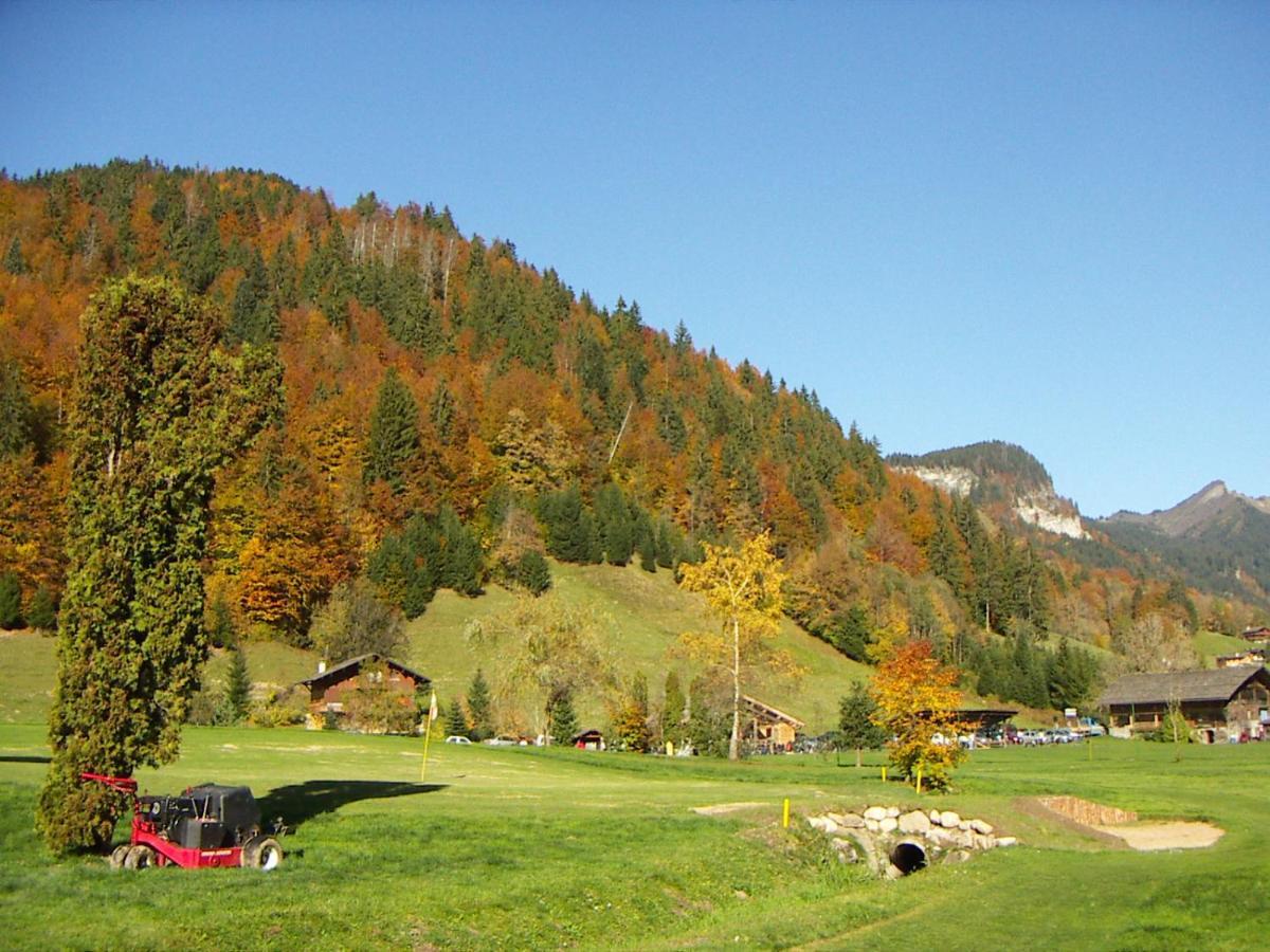 "Chalet Les Aravis" Chalet Et Appartements Le Grand-Bornand Eksteriør bilde